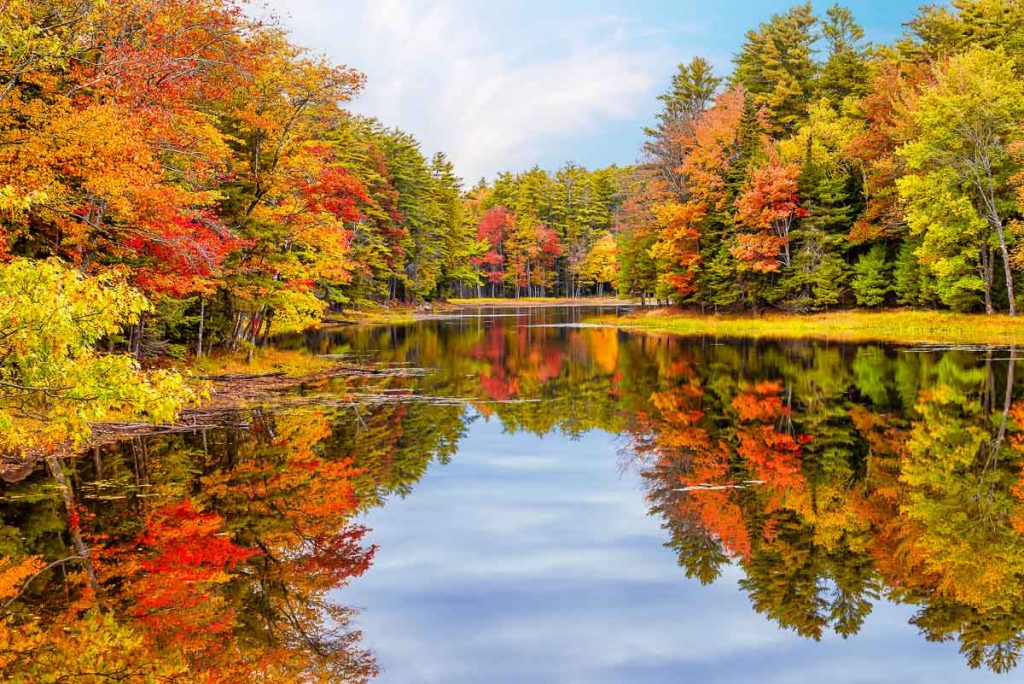 Autumn foliage reflections in calm pond water in New England