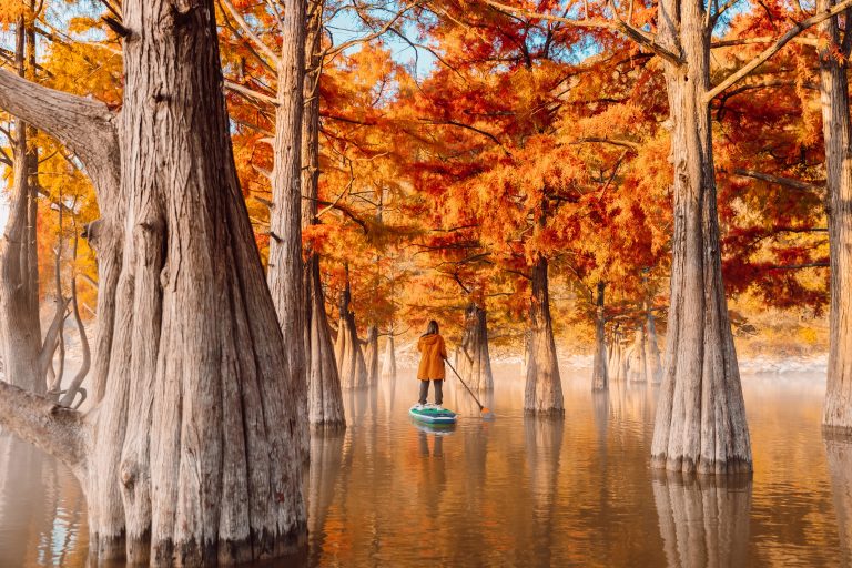 14 Beautiful Places in Louisiana Beyond Just New Orleans