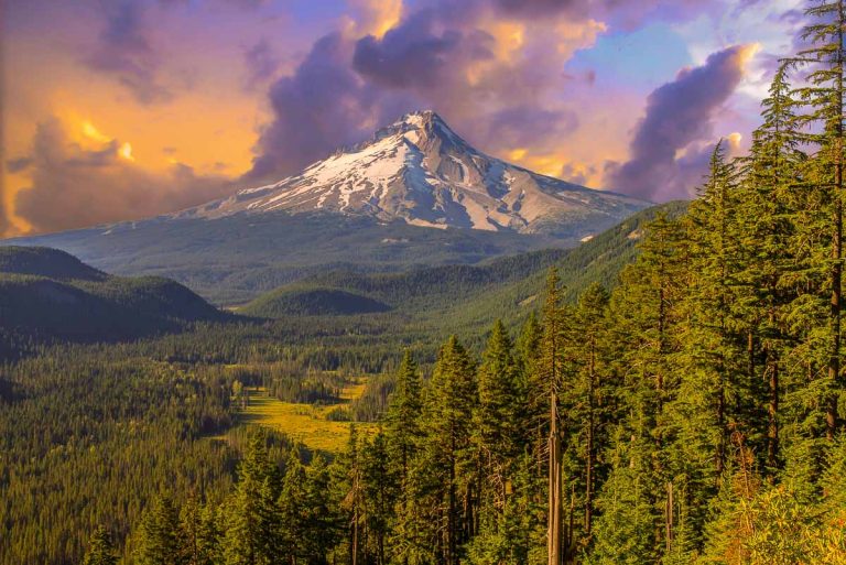You’ll Find Painted Hills, Foggy Shores, and Waterfalls That Drop Through the Pines in This Dreamy PNW State