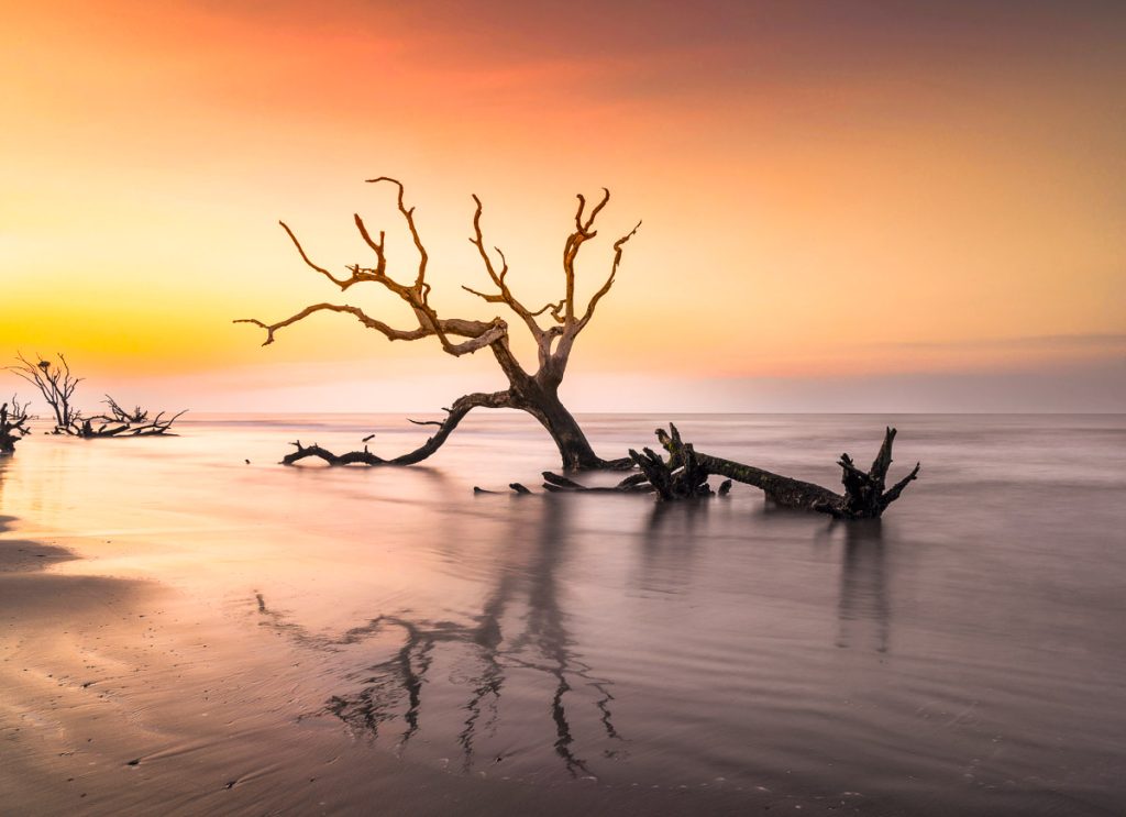 meditative seascape at Boneyard Beach on Bull Island in South Carolina at sunrise