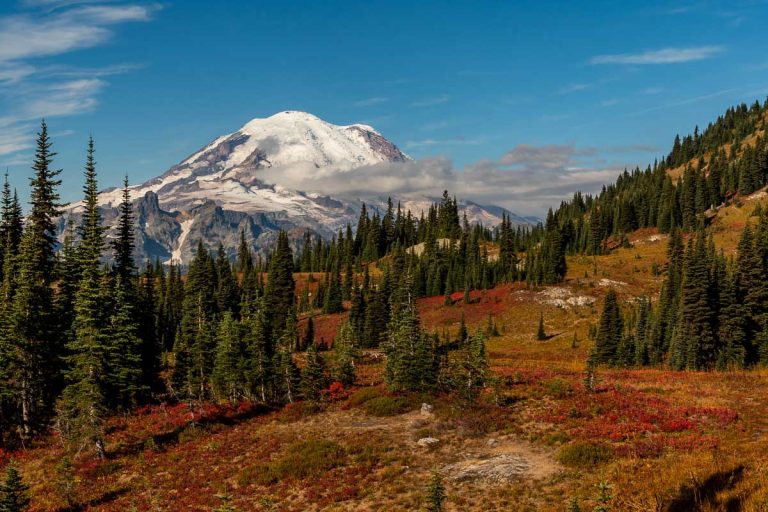 Perfect One Day in Mount Rainier National Park Itinerary for First-Timers