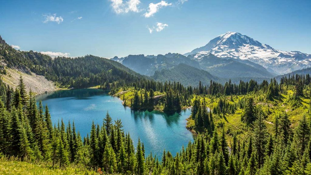 Washington, Rainier NP, Garbon River and Mowich Lake Area Tolmie Peak