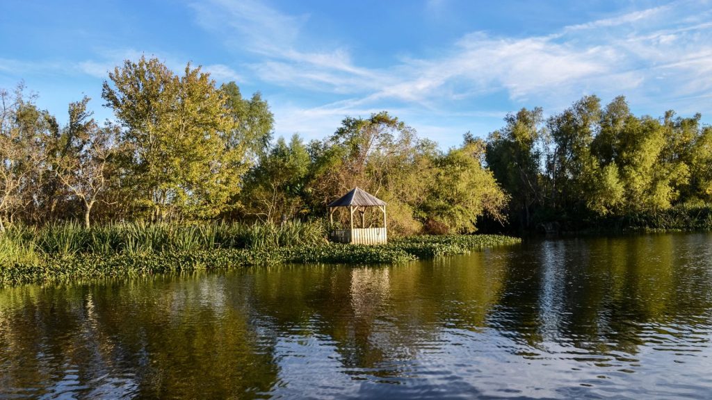 Louisiana, Bayou Swamp