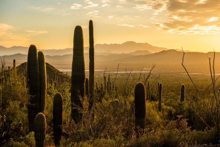 From Sunset Glow to Desert Trails, This Southwestern Park Is Pure Magic—Especially in Fall