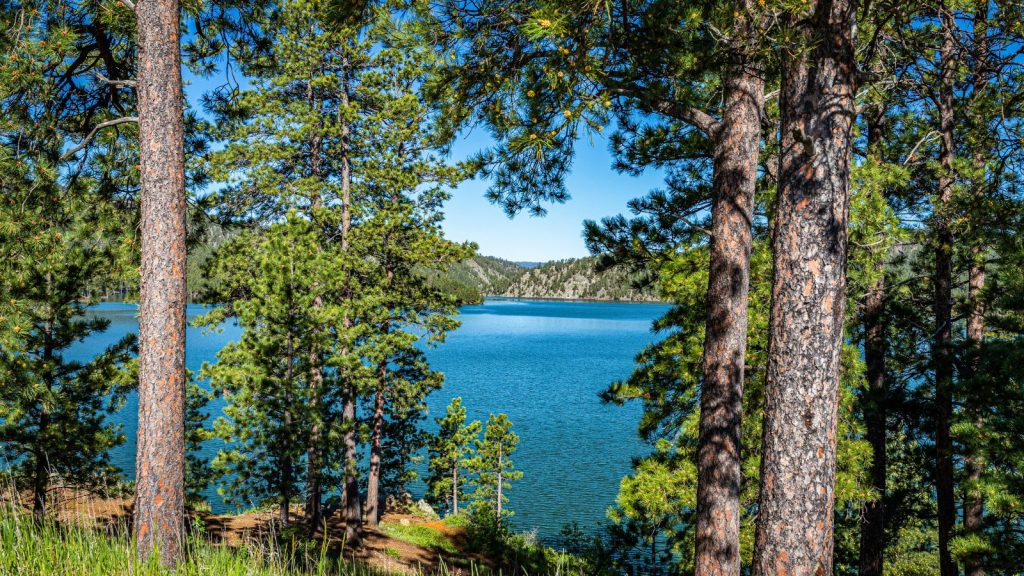 South Dakota, Pactola Lake through the trees