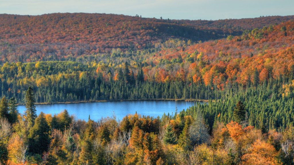 Oberg Mountain in Sawtooth Range on the North Shore in Minnesota