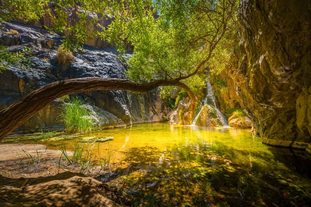 Darwin Falls, Waterfall in Death Valley National Park California USA