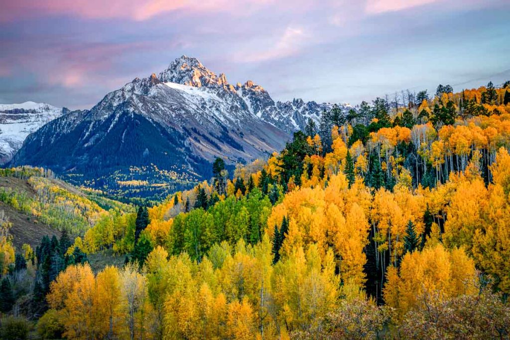 Last rays of sunlight illuminating snow covered Mount Sneffels peak in San Juan Mountain range near Ridgway Colorado during full fall color of yellow Aspen trees with dramatic sunset clouds behind peak