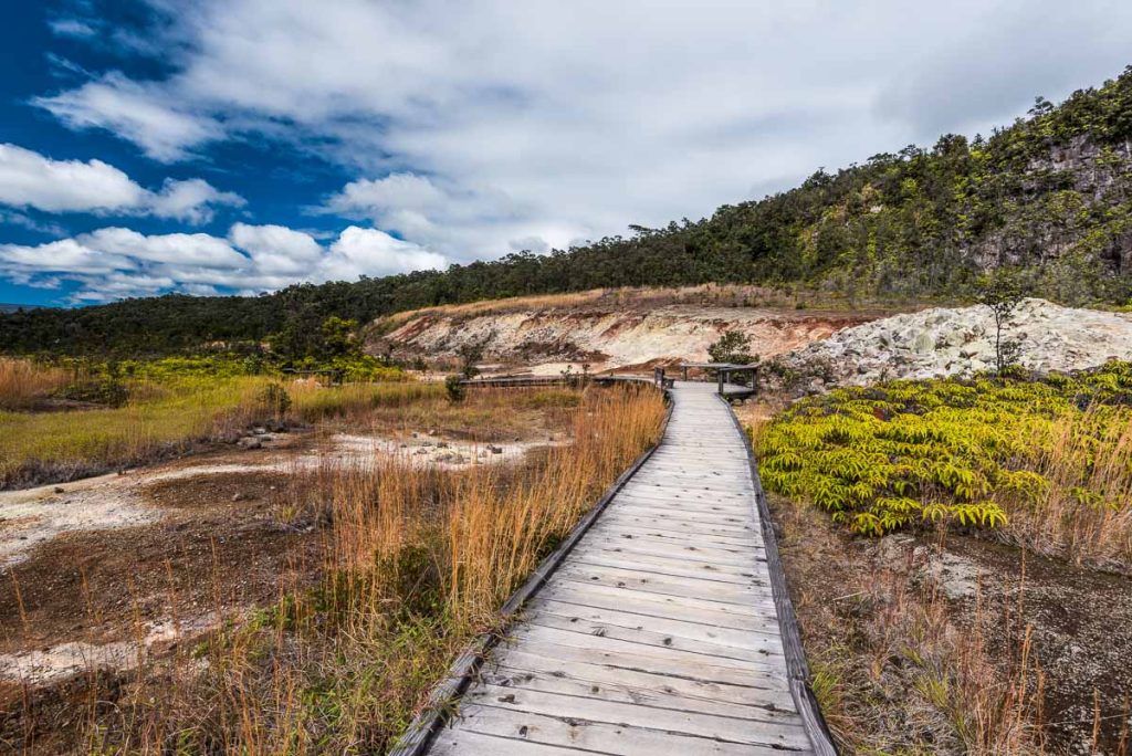 Hawaii, Sulphur Banks Trail, Hawaiʻi Volcanoes National Park