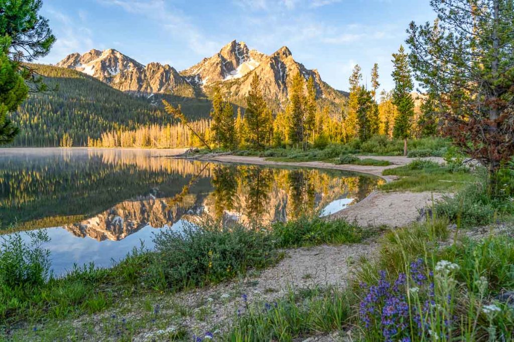 Beautiful sunrise at Stanley Lake in the Sawtooth Mountains of Idaho. Reflection in water with wildflowers