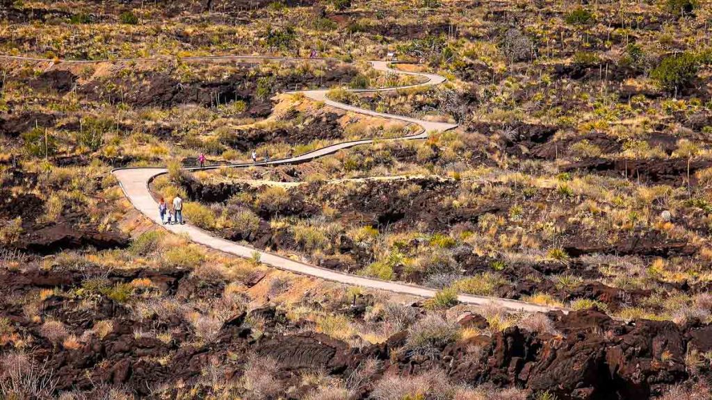 Visitors on the curved walkway through lava fields at Valley of Fires Recreation Area in New Mexico