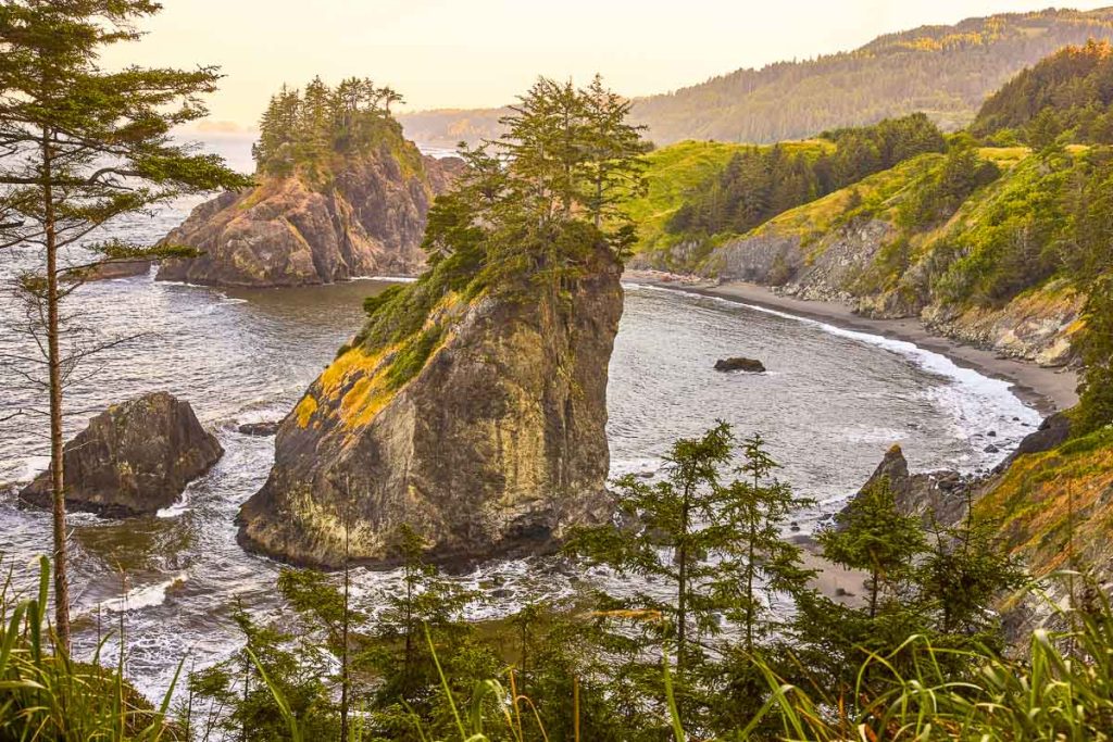 Oregon, Samuel H Boardman State Scenic Corridor during golden hour