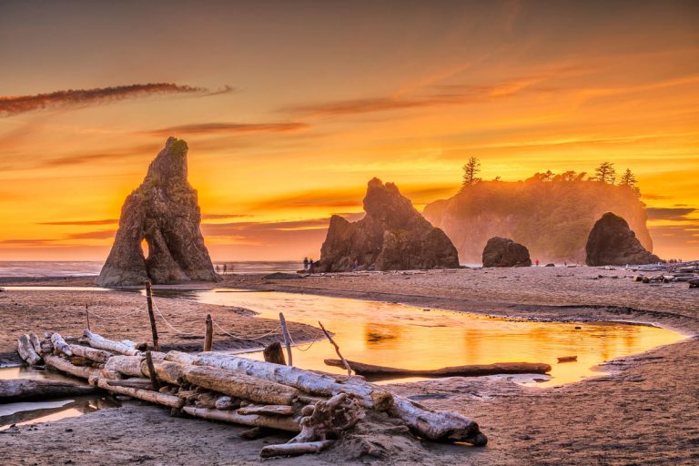 Don’t Miss These 12 Epic Things to Do in Olympic National Park for First-Timers