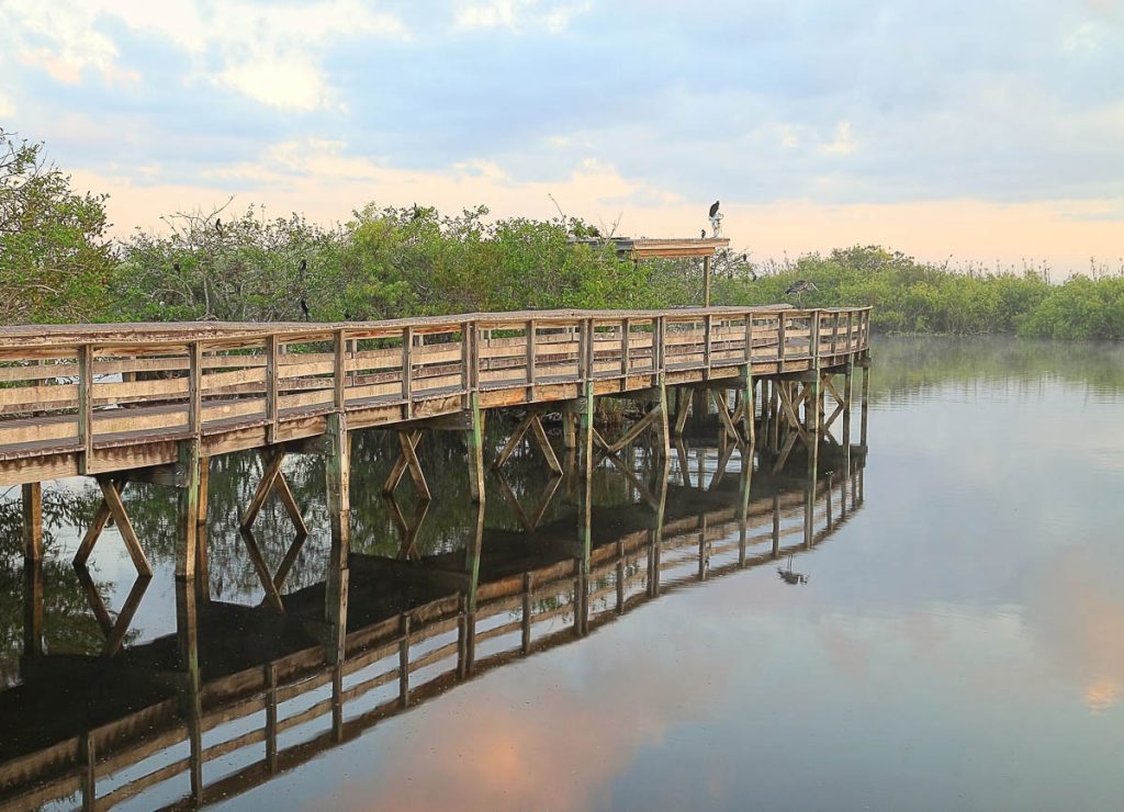 Boardwalk on the Anhinga Trail in Everglades National Park, Florida