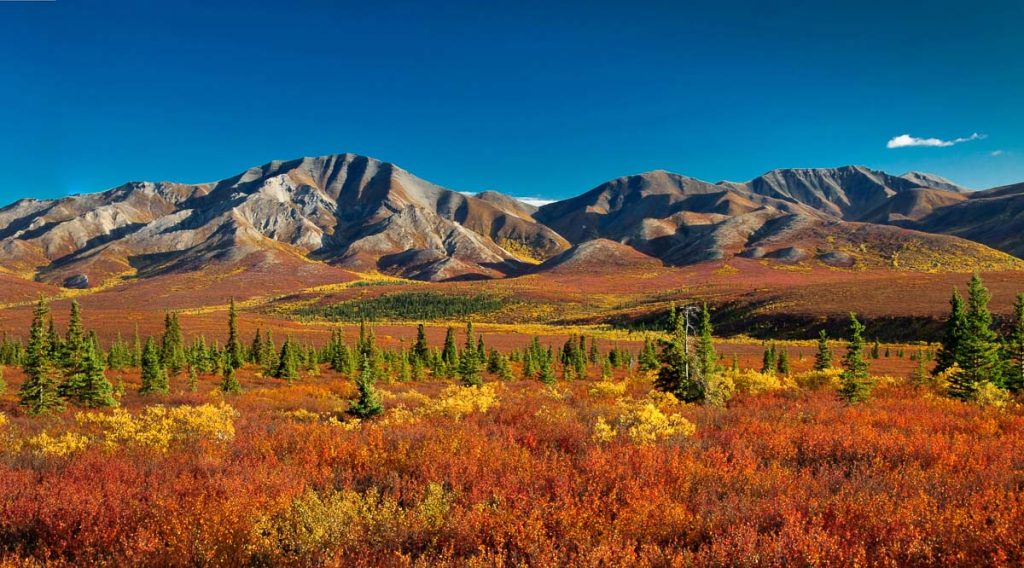Denali Range, Alaska landscape with autumn tundra and colorful fall foliage beneath rugged mountain peaks