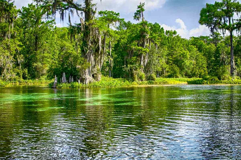 Floating Down the River in a Florida State Park