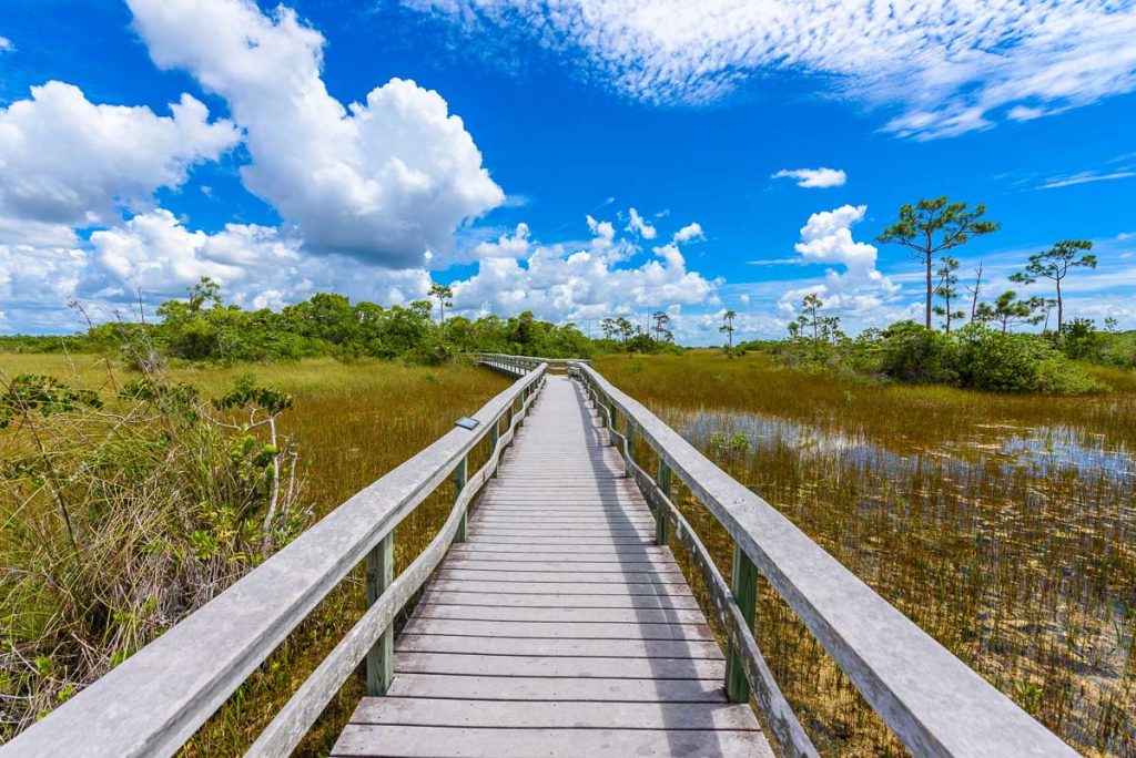Florida, Pa Hay Okee boardwalk stretching over sawgrass prairie in Everglades National Park