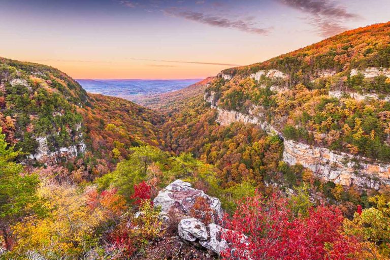 From Moss-Draped Squares to Mountain Views—This State has Some of the Most Beautiful Places in the South