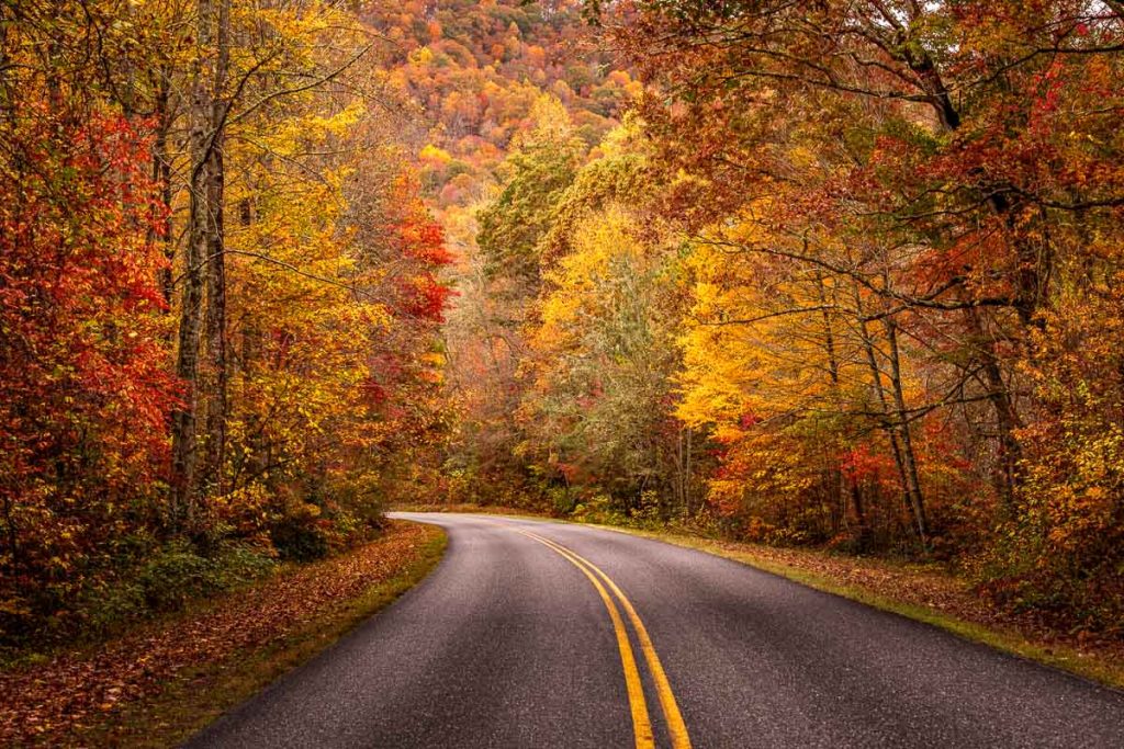 Colorful fall scenic drive along the Blue Ridge Parkway in the Great Smoky Mountains during peak fall color
