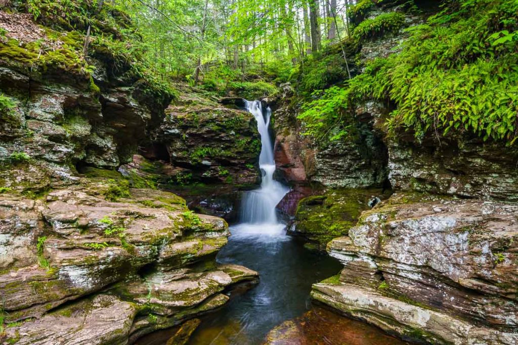 Pennsylvania, Adams Falls at Ricketts Glen State Park cascading through rocky forest gorge