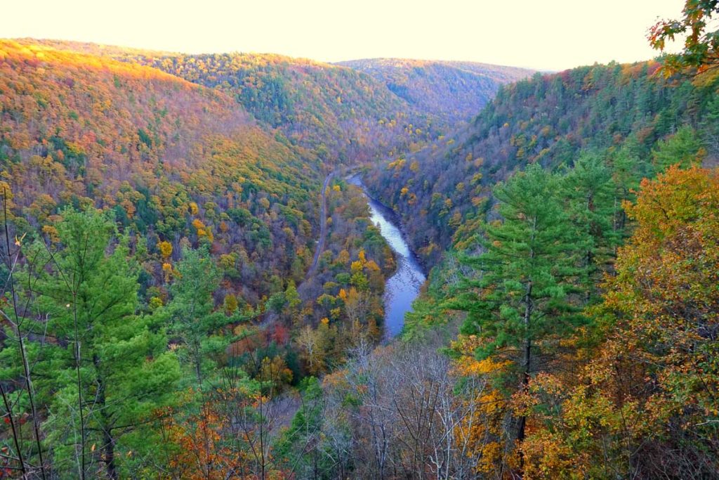 The aerial view of the striking colors of fall foliage and the river near Grand Canyon of Pennsylvania, U.S.A