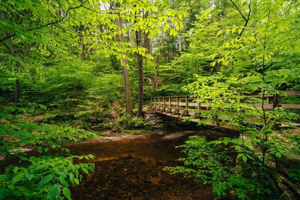 Pennsylvania, Wooden footbridge over Kitchen Creek at Ricketts Glen State Park surrounded by forest