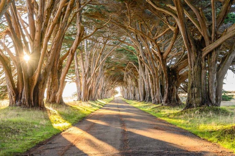 How Many of These 65 California Bucket List Adventures Have You Actually Done?
